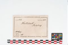 Etikett zu Bronzedoppelspiralnadel (NHMW-PRAE-002302)